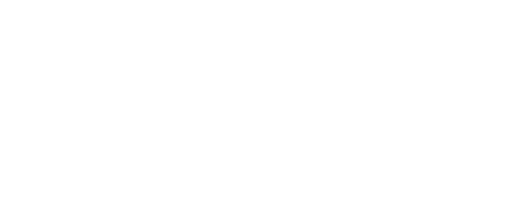 Customs-White.png
