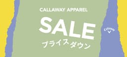 SALEプライスダウン_1920872 (1).jpg
