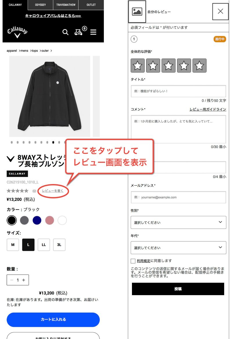 review-howto_リサイズ.jpg