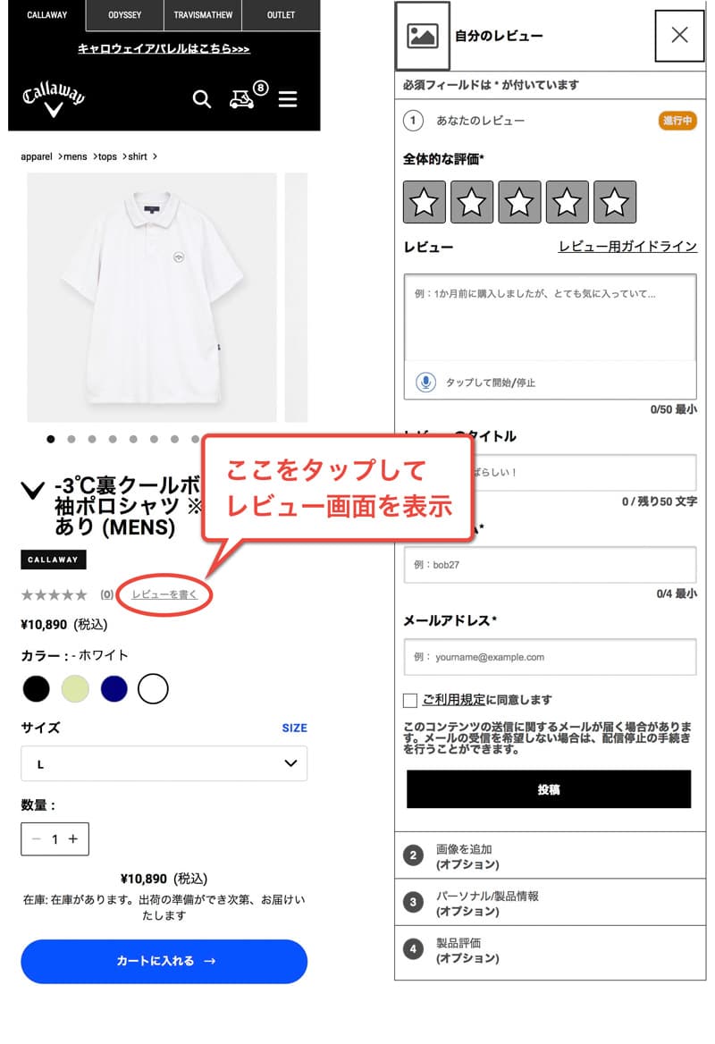 CAレビュー画面.jpg