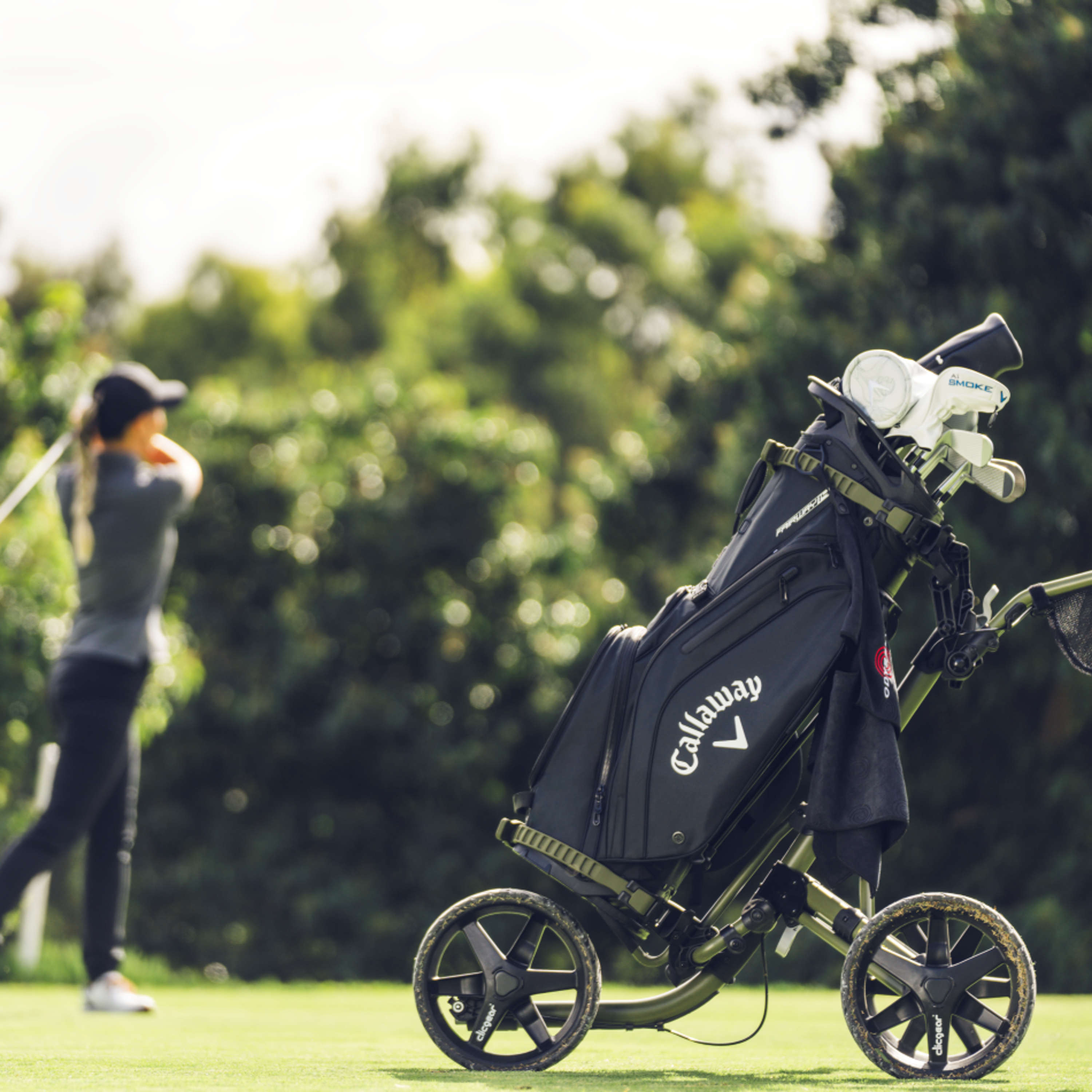 View: オンラインストア限定