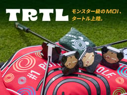 EC_top_trtl_tb_0807.jpg
