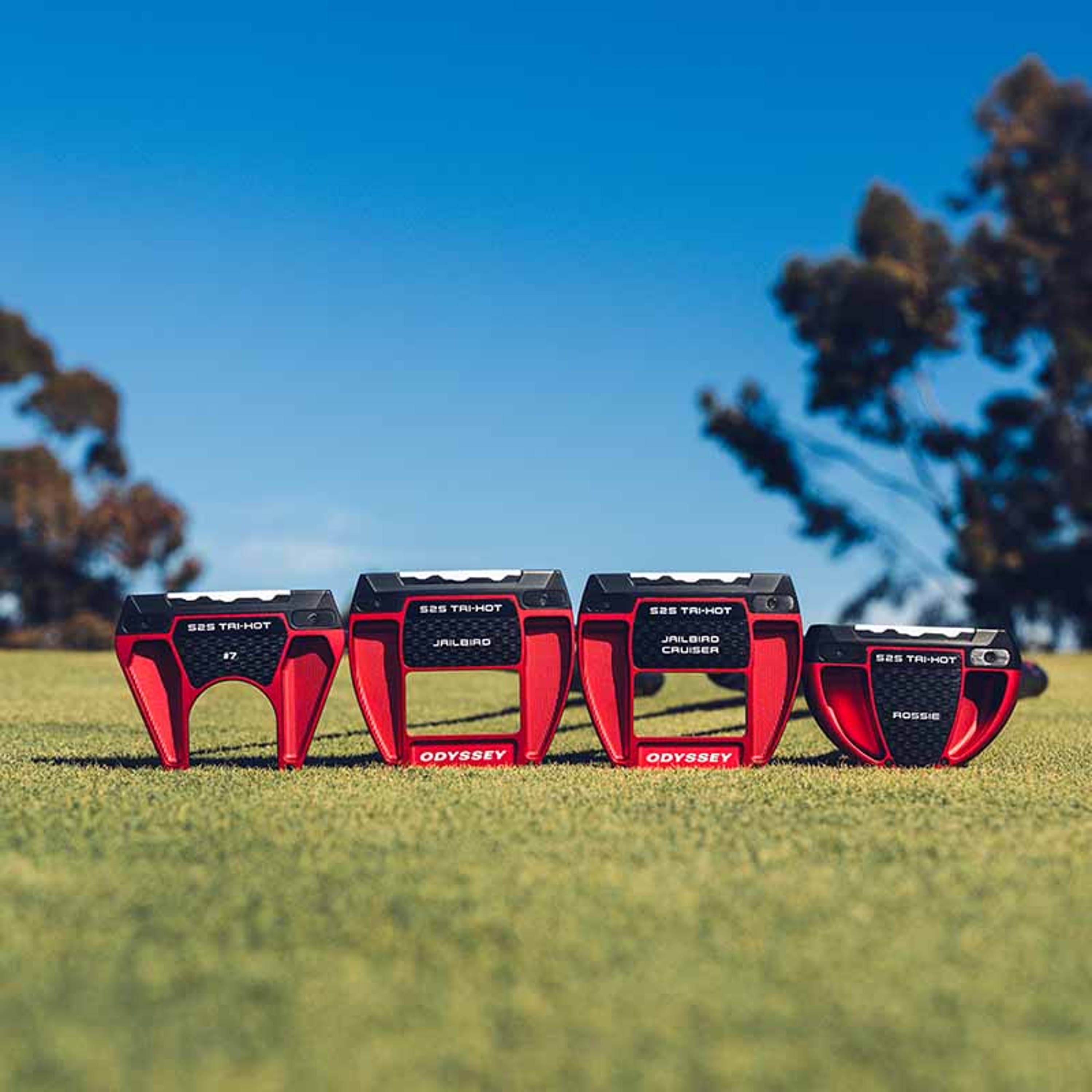 WEEKLY TOUR HIGHLIGHT