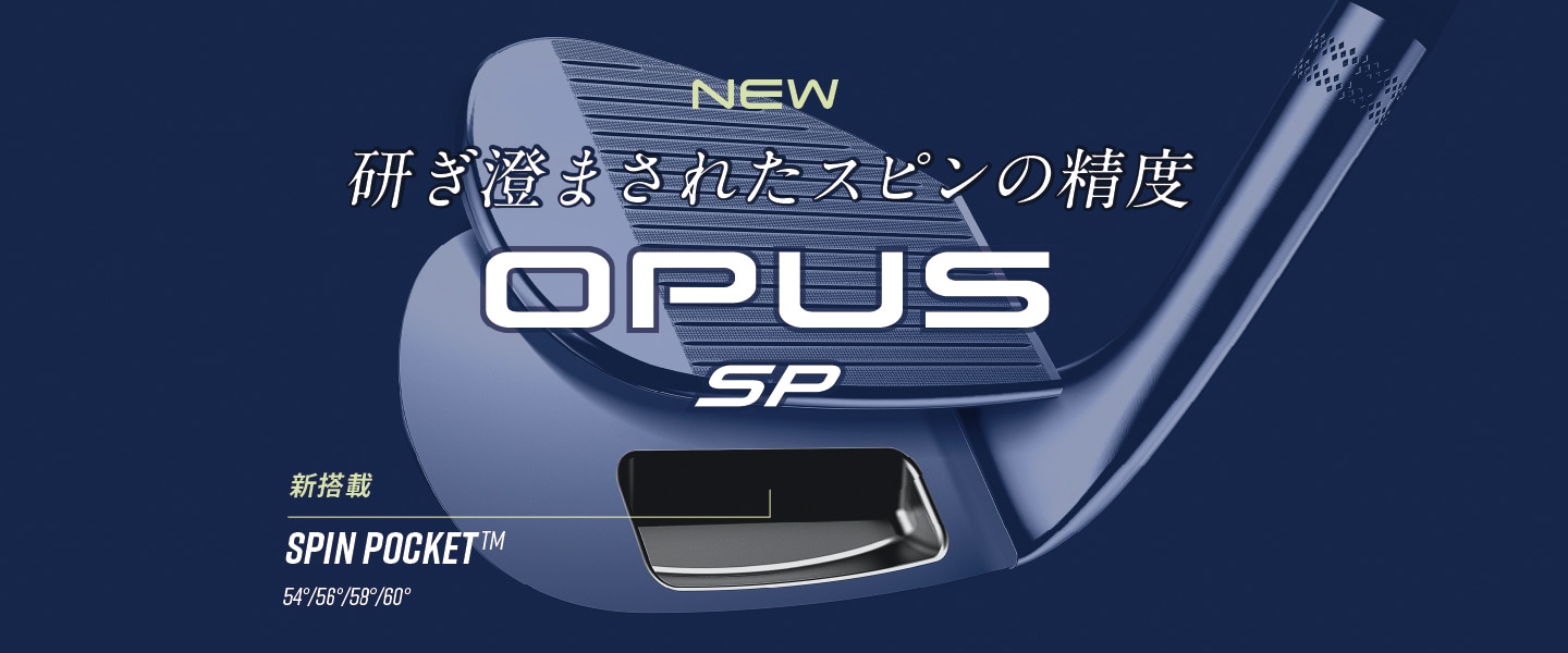 研ぎ澄まされたスピンの制度