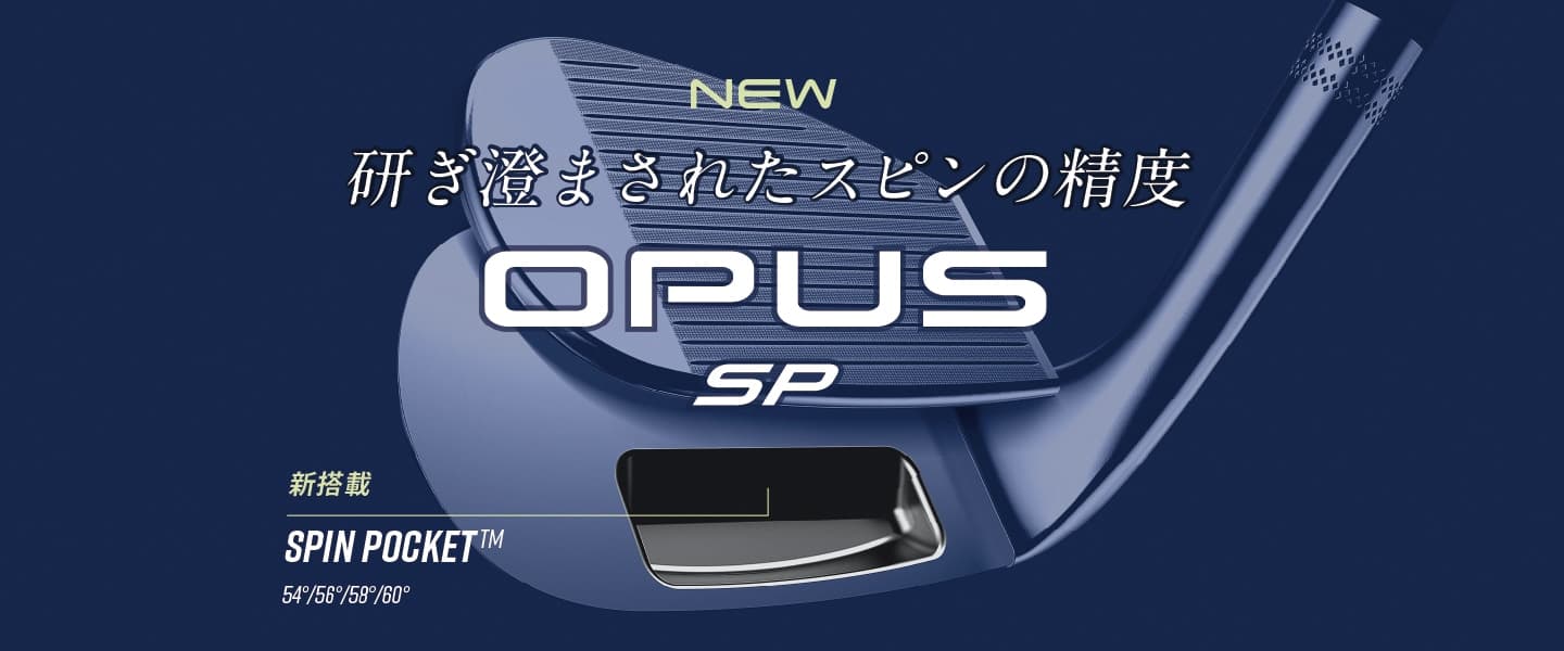 研ぎ澄まされたスピンの制度