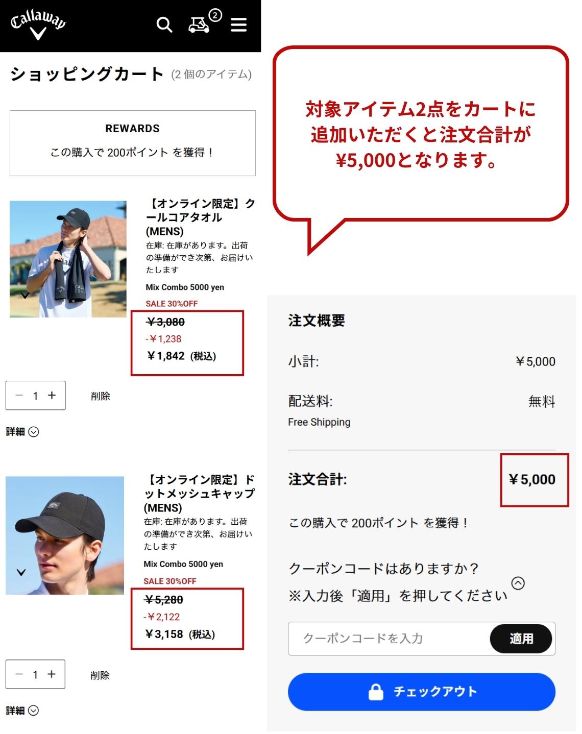 対象の組み合わせで_カートで2点で¥5_000.jpg