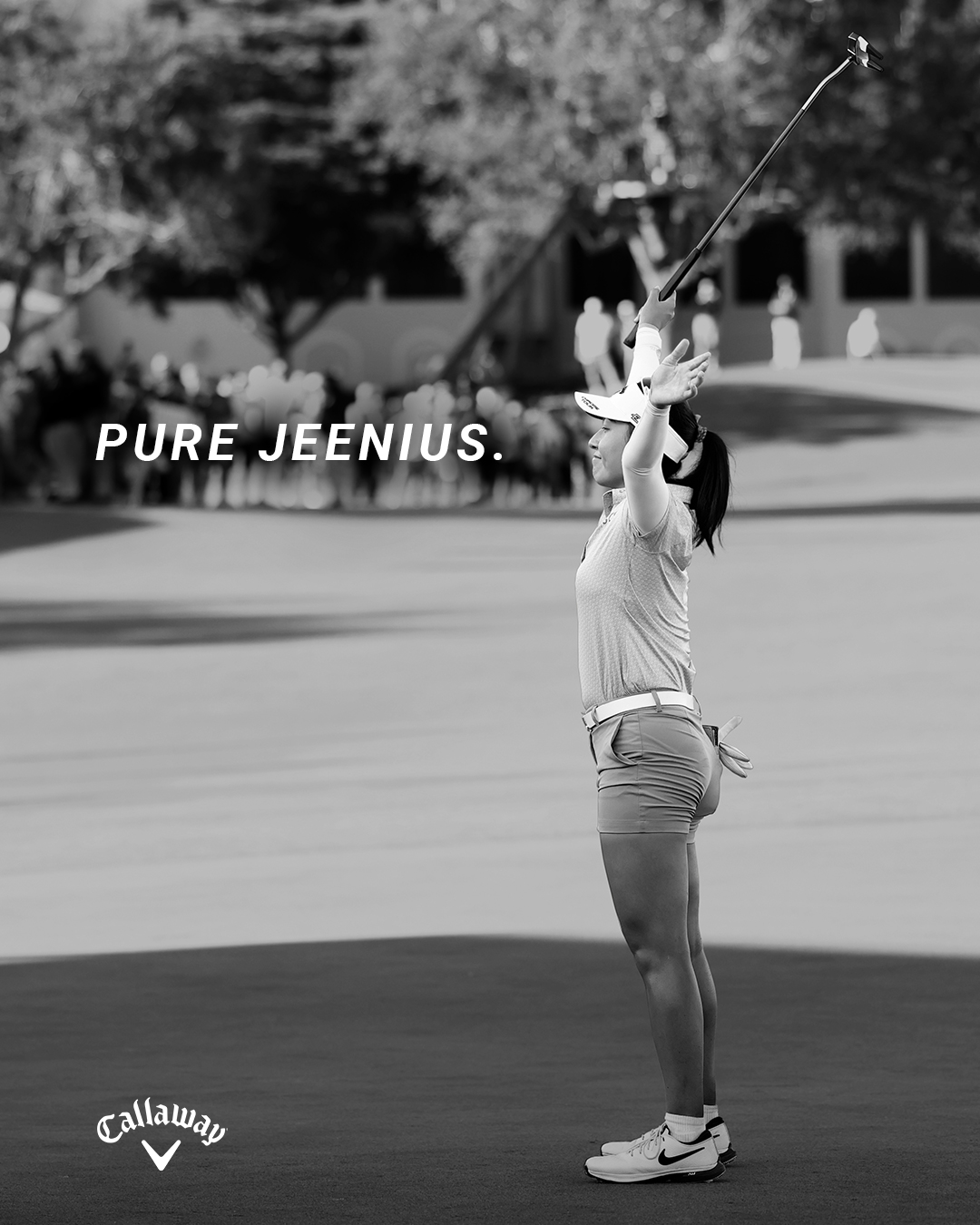 WEEKLY TOUR HIGHLIGHT