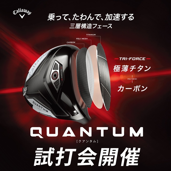 QUANTUM_700-700.jpg