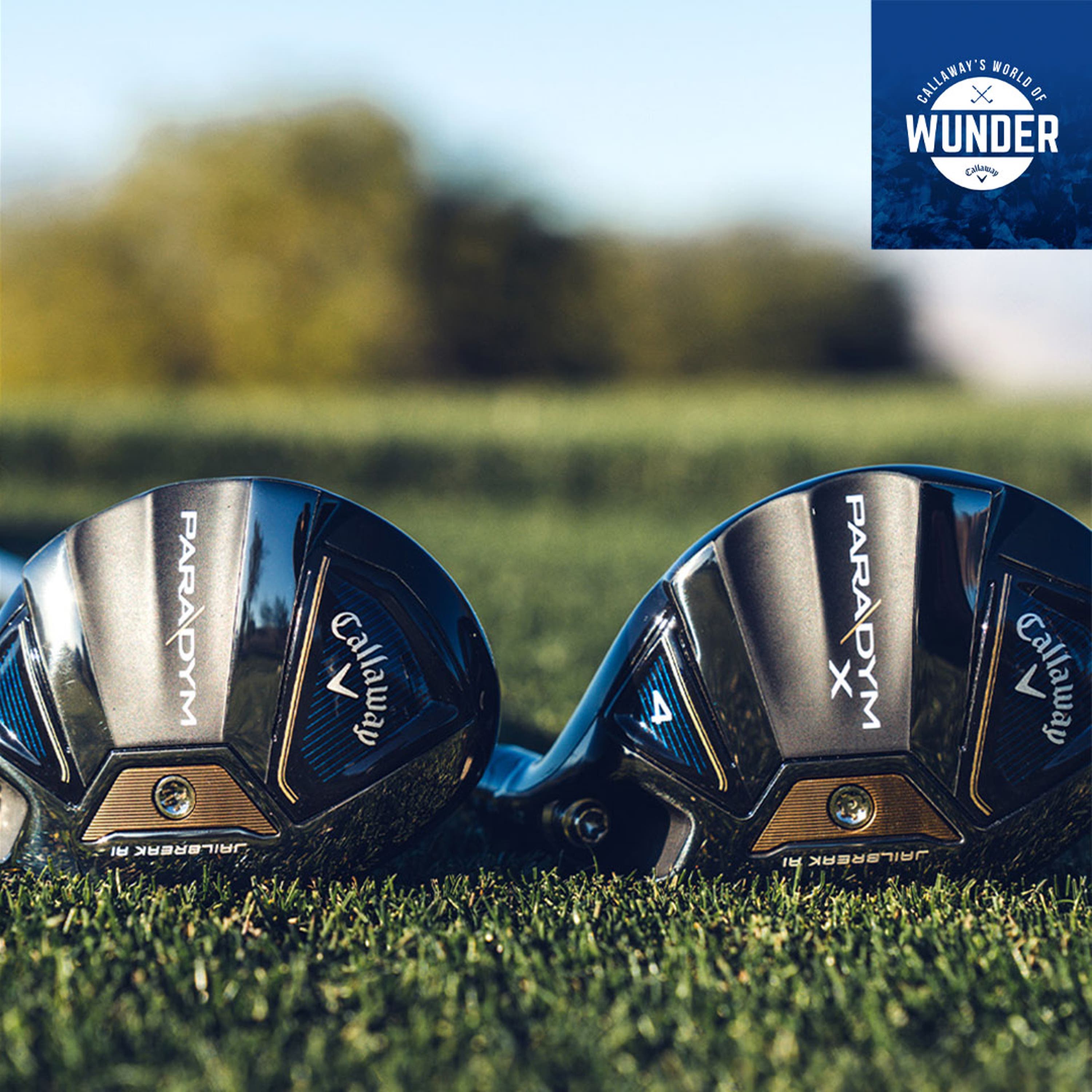 2023 Paradym Hybrid Intro \\ World of Wunder