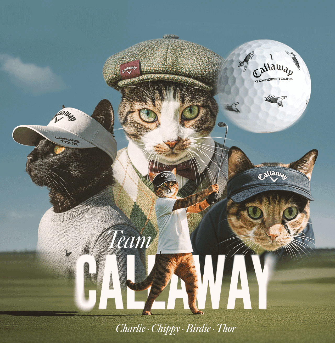 Vネックケーブルニット (WOMENS)