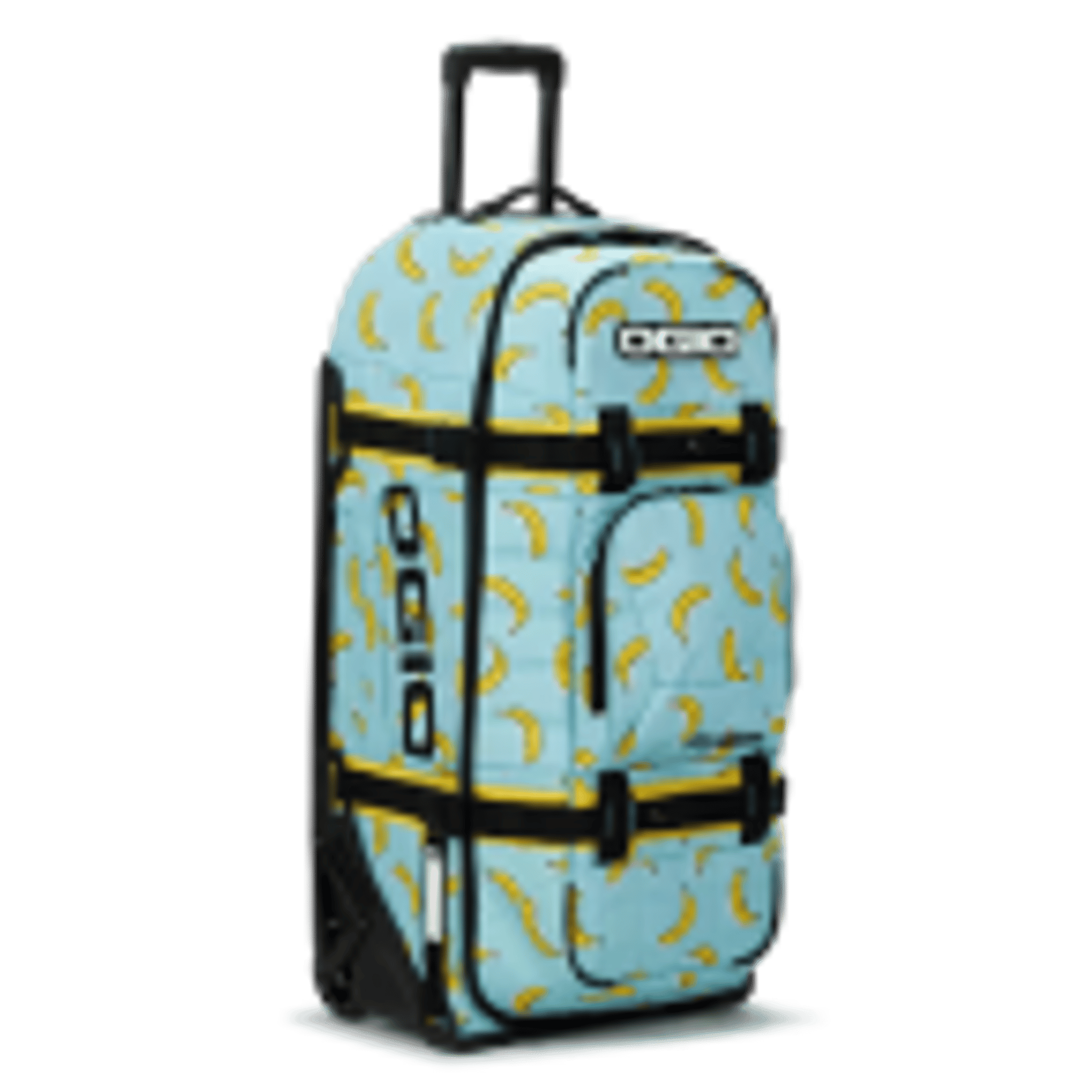 Checked bags