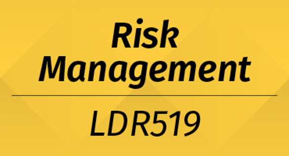 Risk Management LDR519