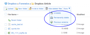 DropBox_141-300x117.png