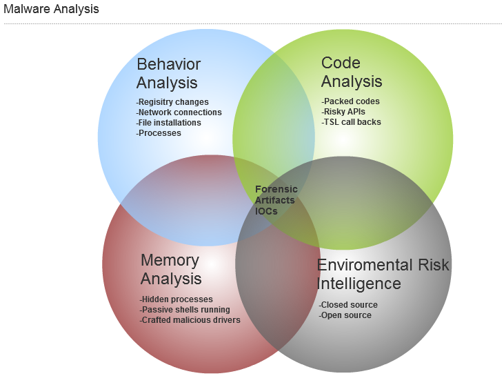 Malware analysis Malicious