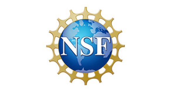 NSF_Official_logo_High_Res_1200ppi.jpg