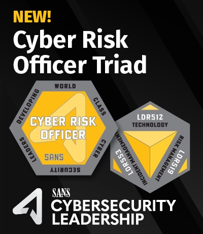 Cyber Risk Officer Triad