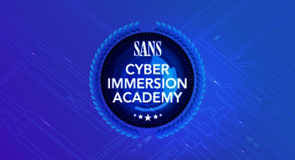 470x382_Academy_Logos_Cyber_Immersion.png