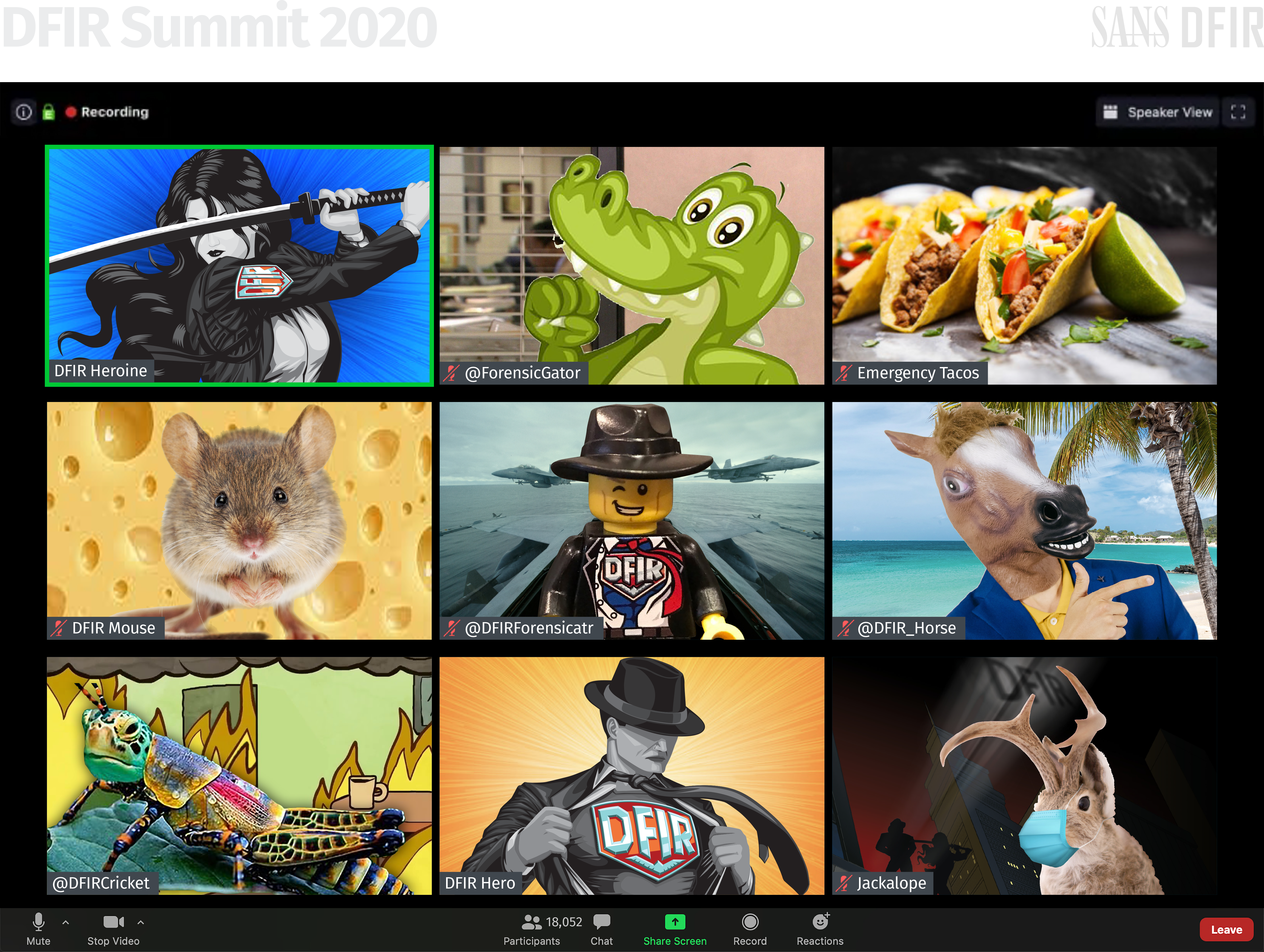 T-shirt_DFIR-2020_Zoom_PRINT.png