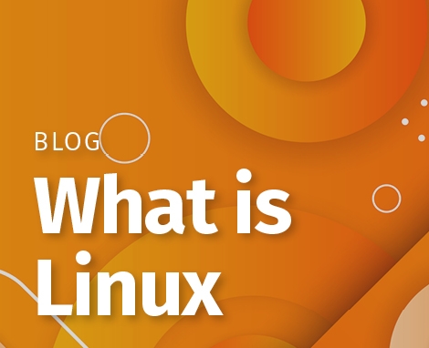 Blog_-_N2C_-_What_is_Linux_-_470x382.jpg