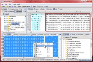 EnCase_I30_Parse2-300x202.jpg