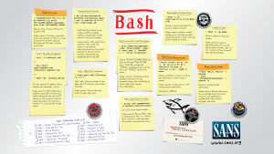 BASH_3