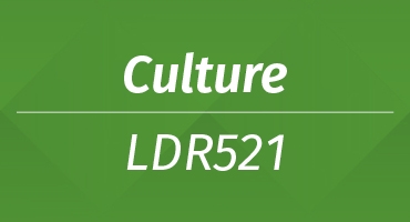 LDR_-_Triad_Landing_Page_-_2022_-_370x200_Course_Card_-_9.png