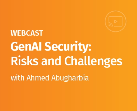 GenAI Risks and Challenges