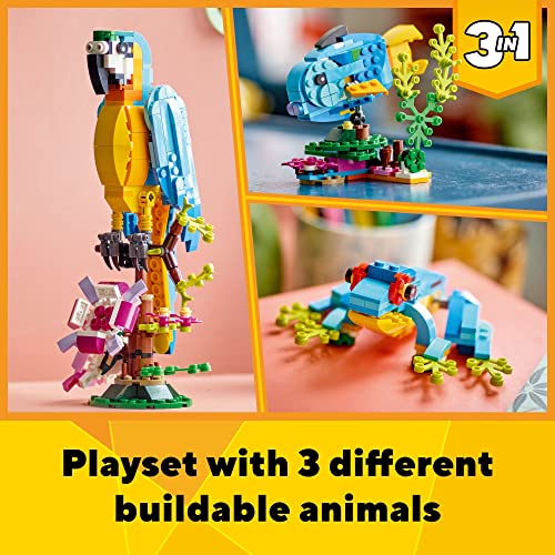 Playset with 3 different buildable animals: a bird, a fish, and a frog, each in vibrant colors.
