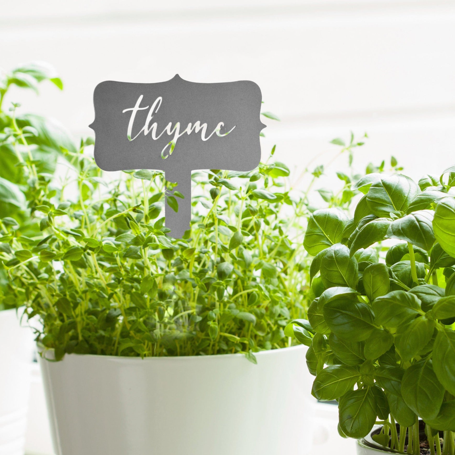 5pc Window Garden Markers $23 at Brad's Deals