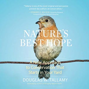 This environmentalist book provides an ecological approach to backyard conservation by Professor Douglas Tallamy