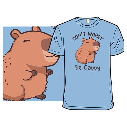 Woot Tees $6
