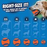 A size guide for Chuck It! Dog Toys shows balls in varying sizes from S to XXL, corresponding to different dog breeds; a Labrador retriever is depicted holding a ball.