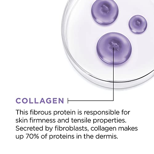 Collagen is highlighted as a key ingredient that accounts for 70% of proteins in the dermis, promoting skin firmness and tensile strength.