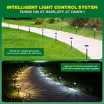 A set of LED solar path lights installed along a walkway, featuring an intelligent light control system that turns them on at dusk and off at dawn.