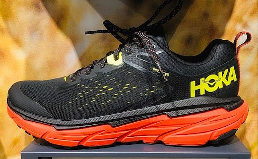 Hoka Shoe