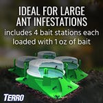 A set of four green Terro outdoor ant bait stations with a white lid, each with bait inside, is shown placed on the ground among grass.