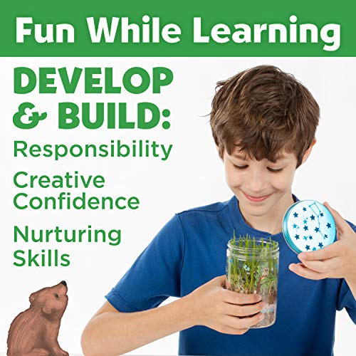 A boy is smiling while holding a small terrarium, with text highlighting educational benefits such as developing responsibility, creativity, confidence, and nurturing skills.