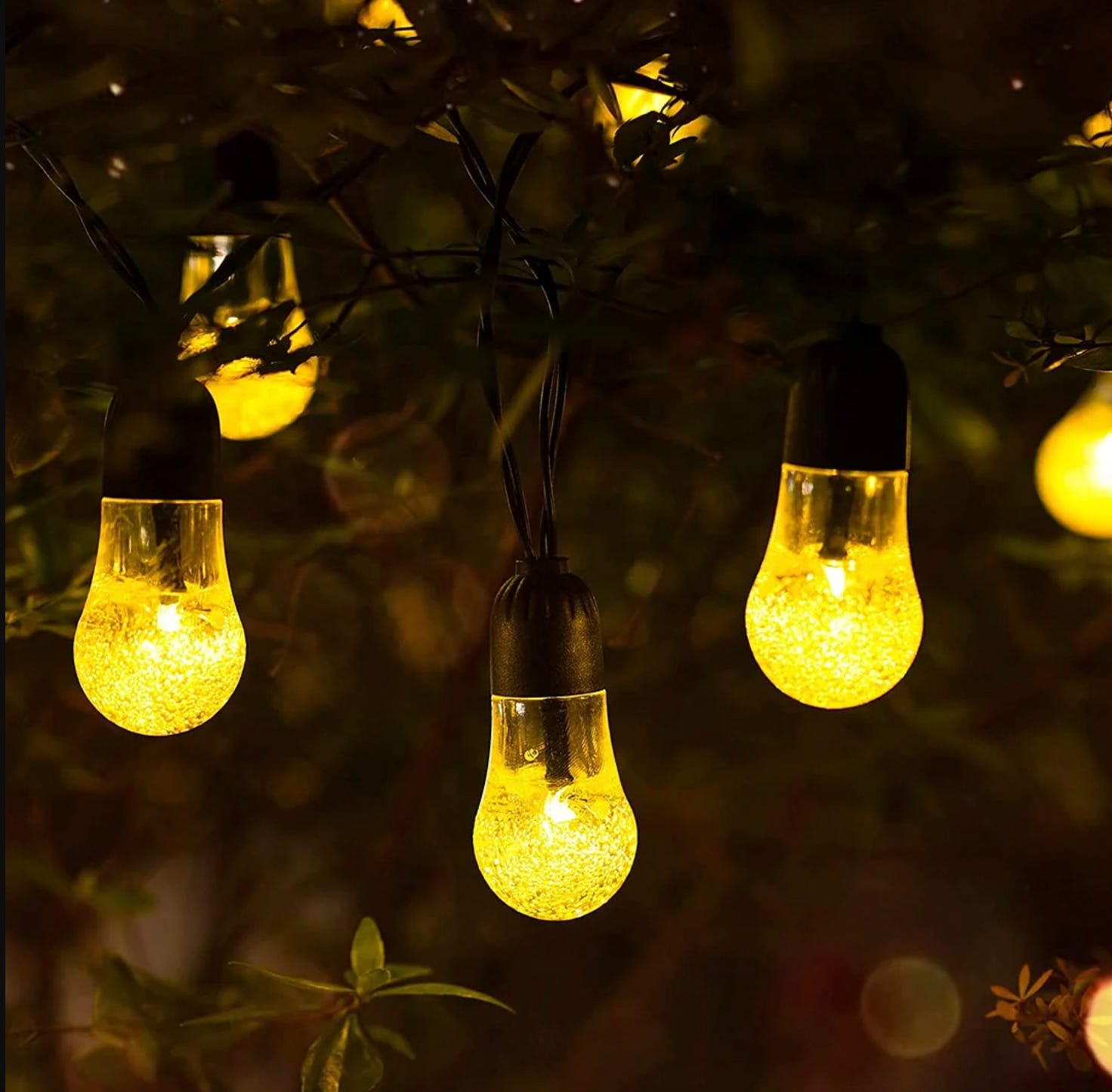 Outdoor string lights with glowing yellow bulbs hanging from a tree.