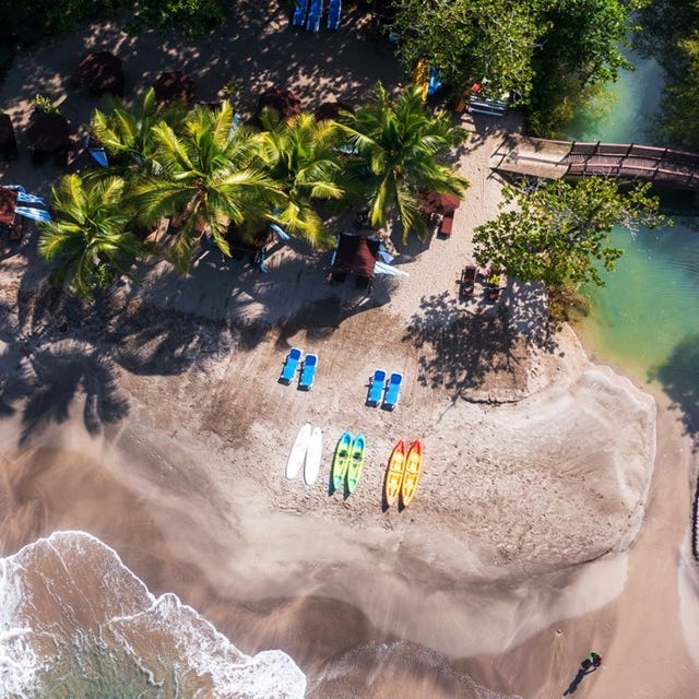 Aerial view of a beach with palm trees, sun loungers, and colorful kayaks and paddleboards lined up on the sand.