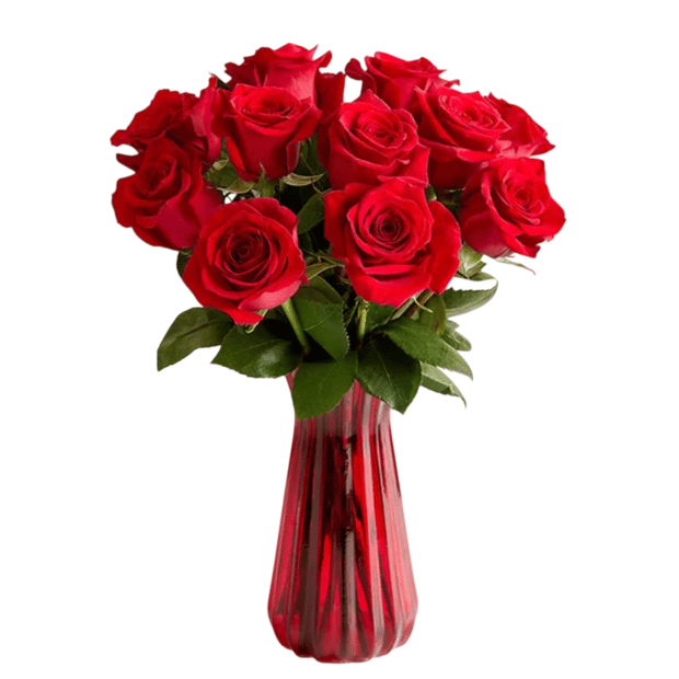 620 Roses Roses Roses 12 Red Roses $71 Shipped at Brad's Deals
