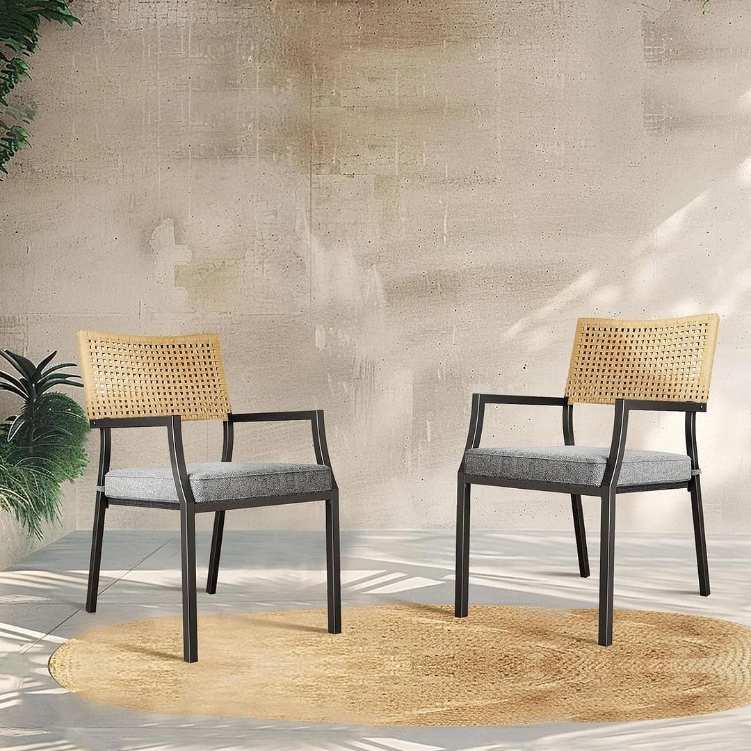 Two chairs with black frames, one with a beige backrest and both with grey seat cushions, on a round beige rug.