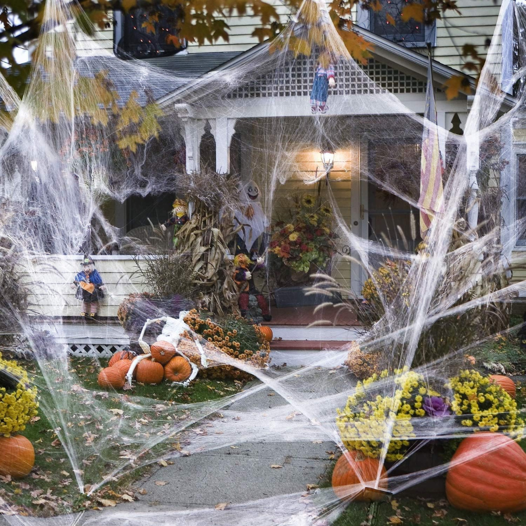 Cobwebs on house front yard