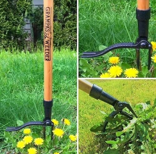 Grandpa's Weeder is a long-handled weeding tool with a claw at the end for removing weeds from the ground without bending over.