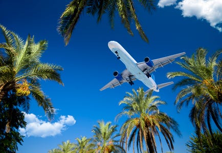 an airplane flies over palm trees against a blue sky
