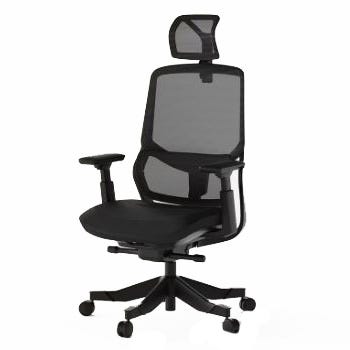 Ergonomic office chair with mesh backrest, headrest, and adjustable armrests on a wheeled base.