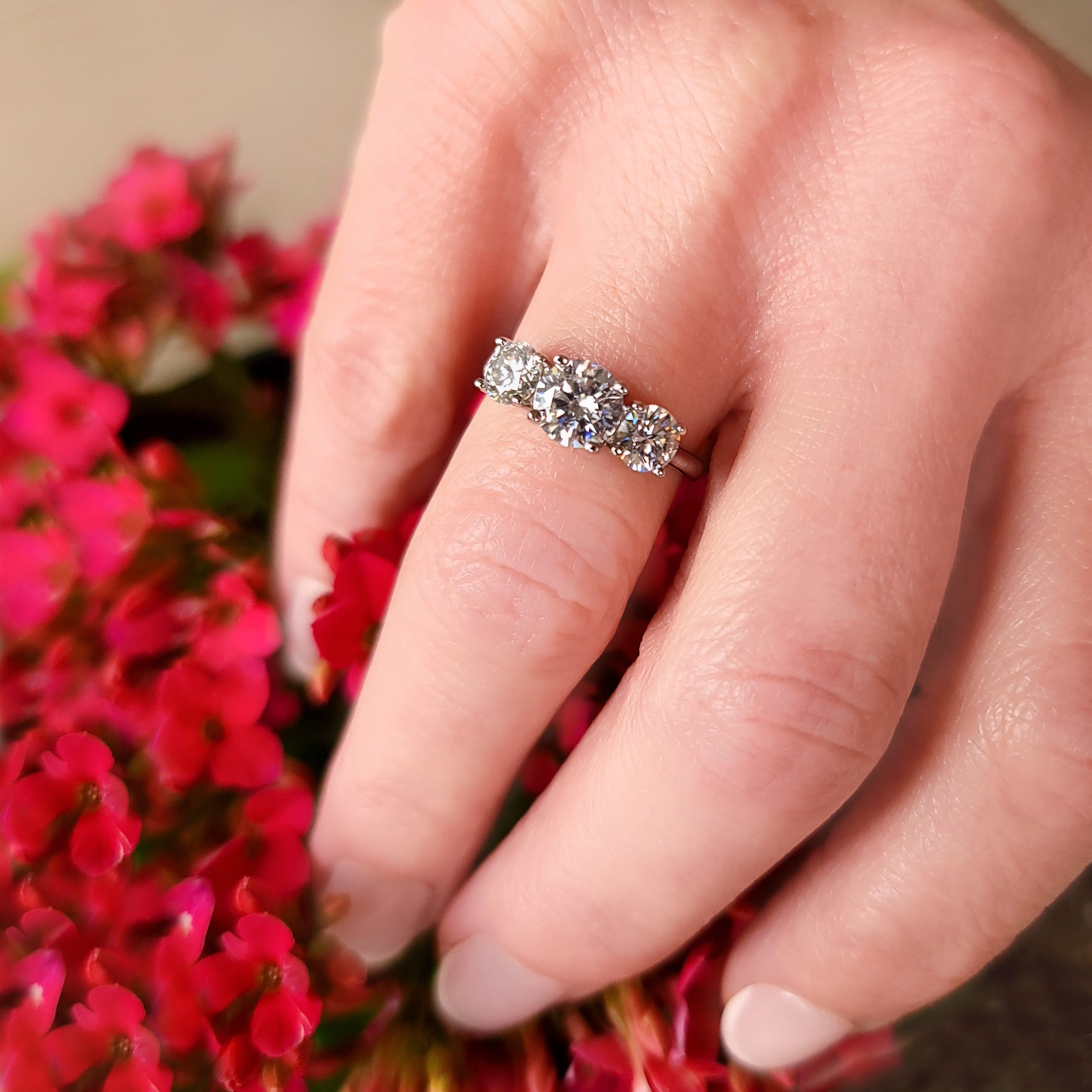 A hand displaying a diamond ring with multiple stones in front of a cluster of pink flowers.