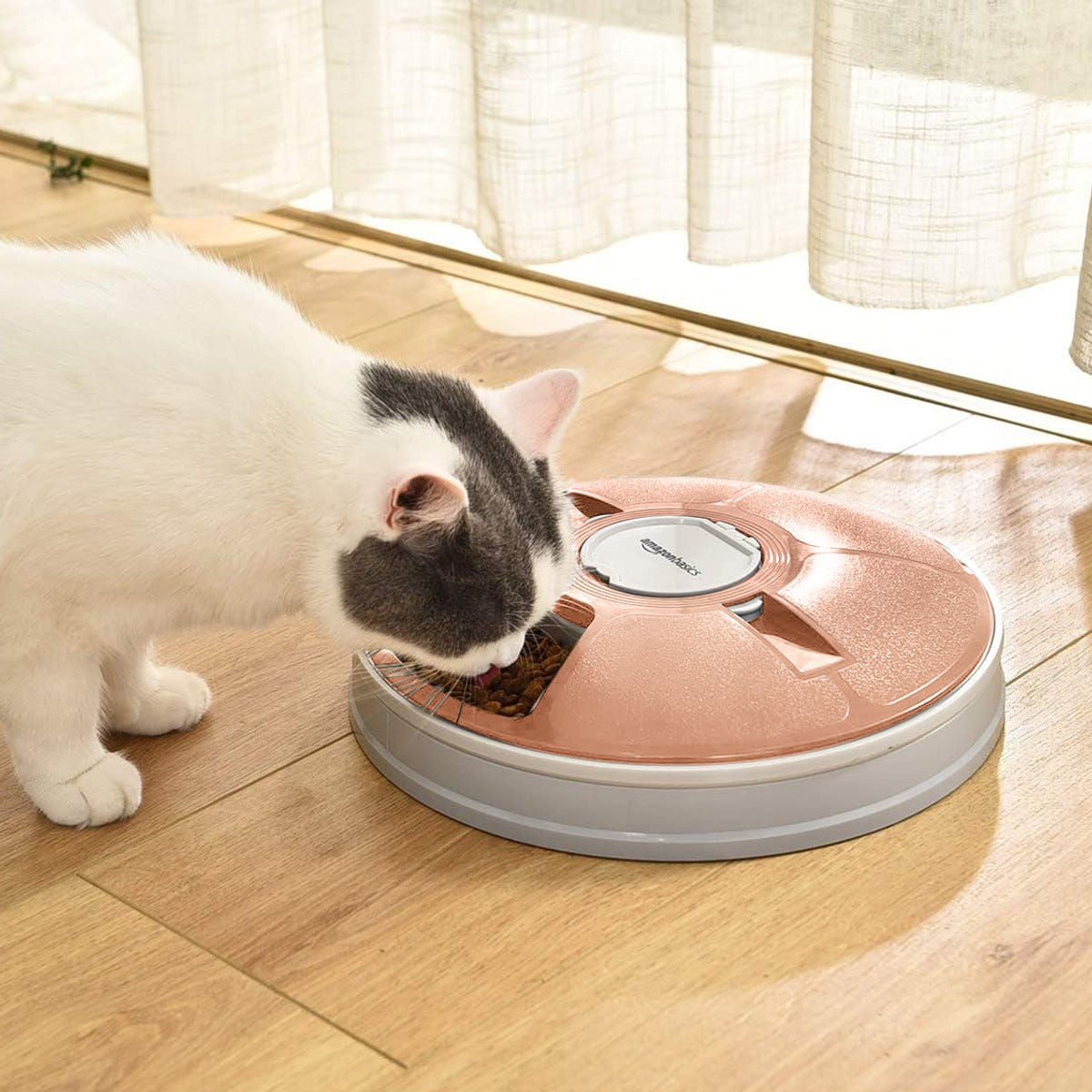 A cat is eating from a bowl integrated into a pink robotic vacuum cleaner on a wooden floor.