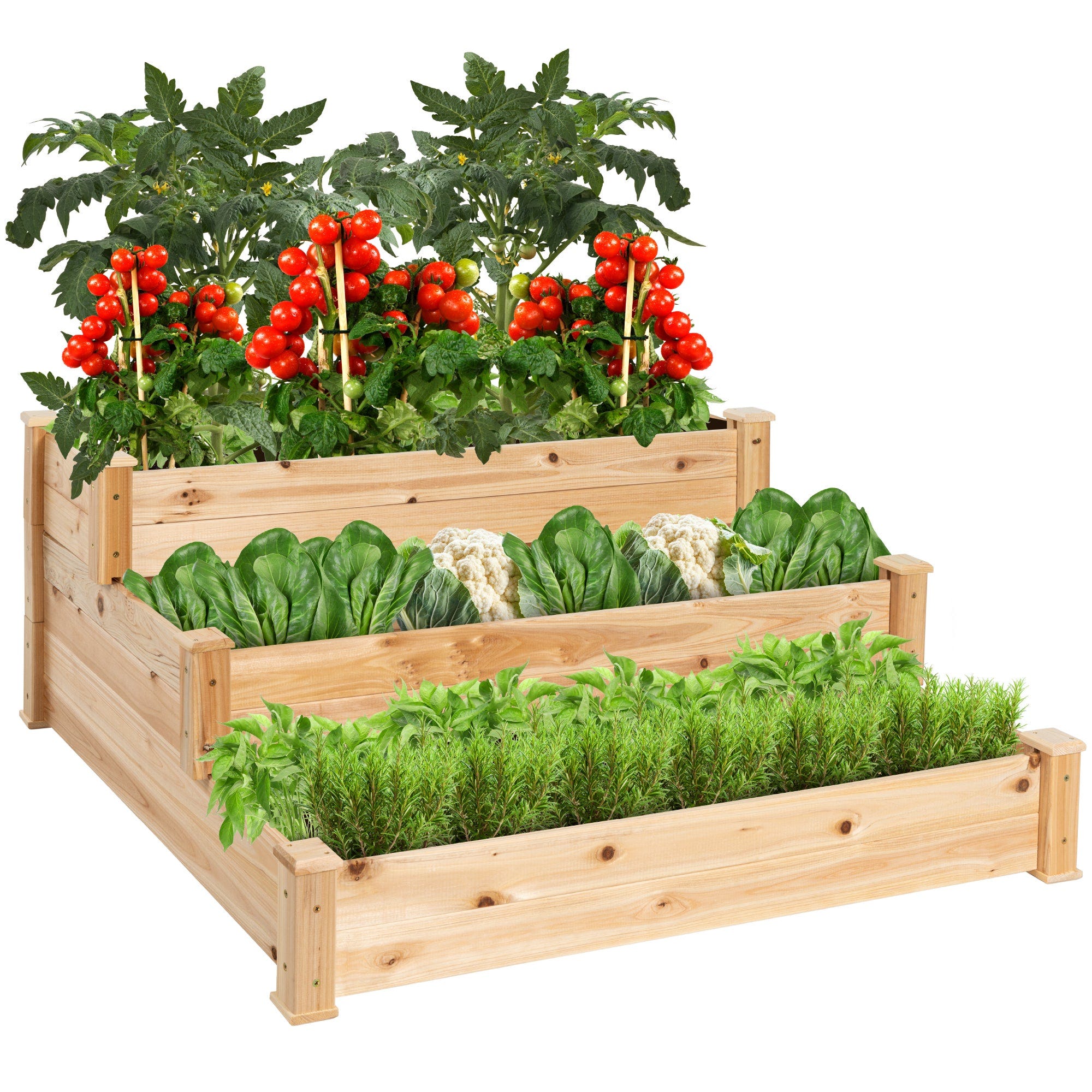A 3-tier wooden garden bed with tomatoes on the top tier, followed by lettuce and cauliflower, and herbs on the lowest tier.