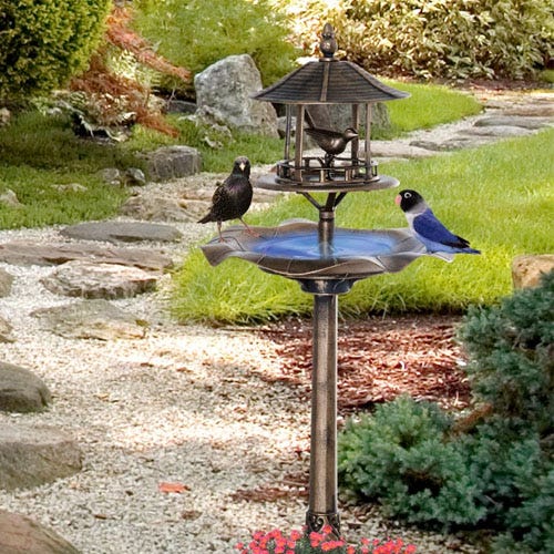 A bird bath with an attached feeding station, accompanied by two birds, set in a garden.