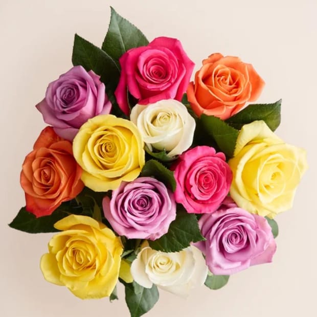 Stacked Roses 12 Assorted Roses $40 Shipped at Brad's Deals